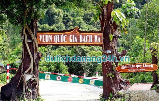 Thuê xe Đà Nẵng đi Bạch Mã – TT Huế